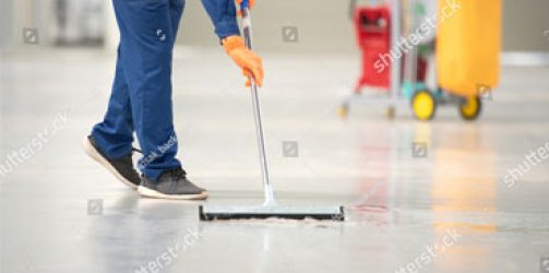 servicio-2